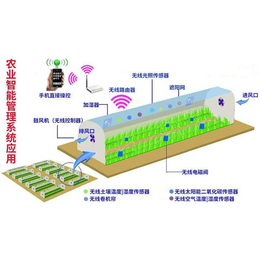 貴貴溫室 智能農業管理與智能溫室建造的未來革新