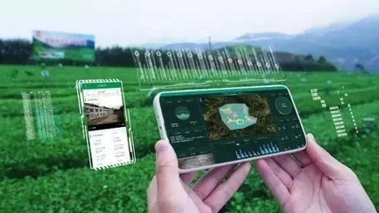 茶树种植智能化管理研究进展与智能农业管理实践
